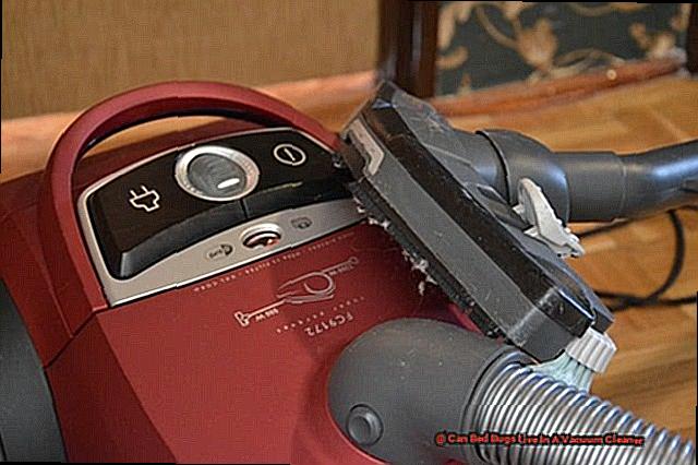 Can Bed Bugs Live In A Vacuum Cleaner-2