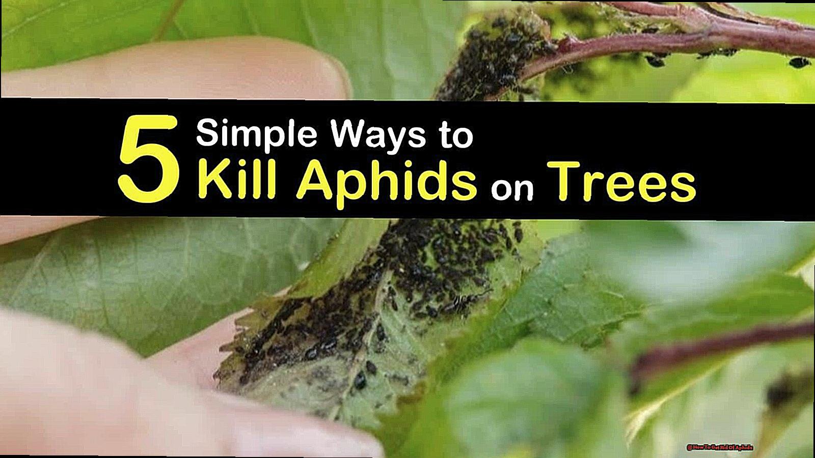 How To Get Rid Of Aphids-3