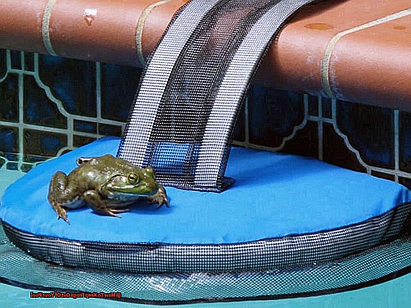 How To Keep Frogs Out Of Your Pool-3