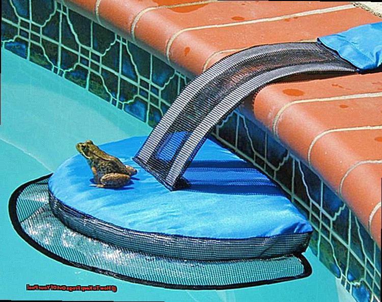 How To Keep Frogs Out Of Your Pool-5